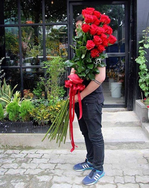 Hoa hồng ecuador làm quà tặng người yêu nhân dịp Valentine